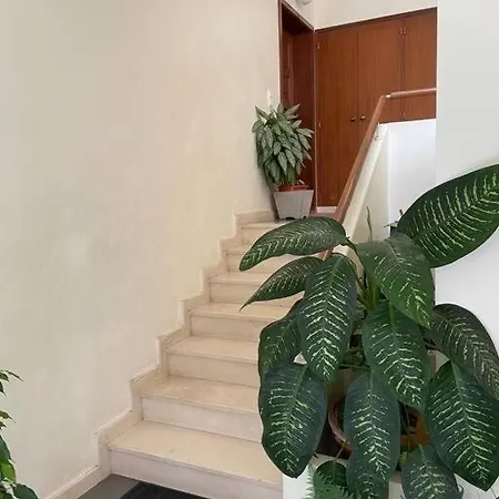 Residencia Azevedo Camara de Lobos